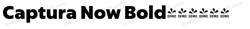 Captura Now Bold字体转换